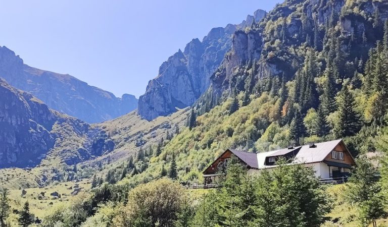 Destinul comun al celor ce mor pe front. 28 de kilometri pe munte. Linkuri cu comentarii critice la „Mersul lucrurilor”
