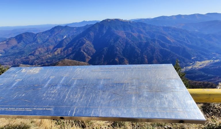 Rugăciuni, de pe o zi pe alta. Despre scriitori artificiali